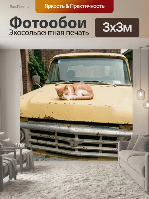 Фотообои Спящий котёнок на старом автомобиле