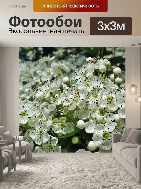 Фотообои Дерево