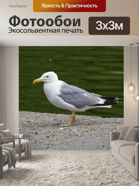 Фотообои Птица