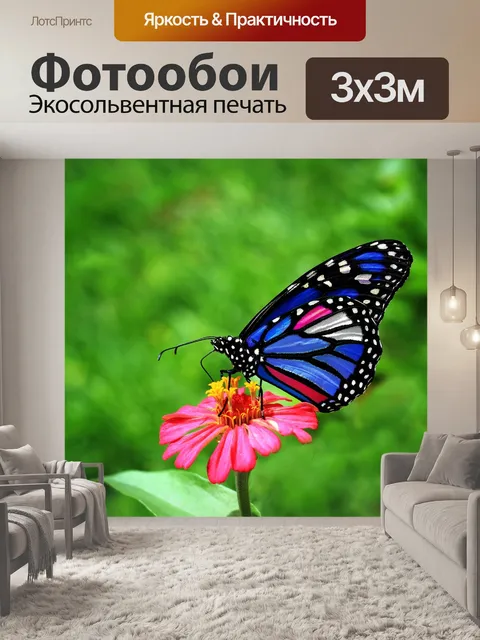 Фотообои Бабочка