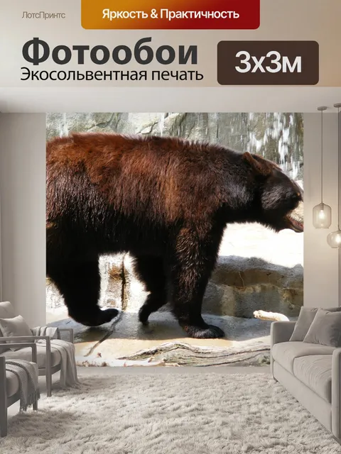 Фотообои Медведь