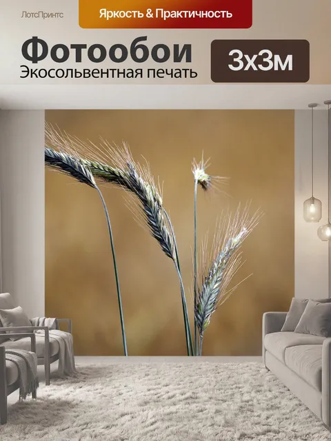 Фотообои Ухо