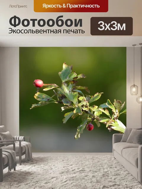 Фотообои Природа