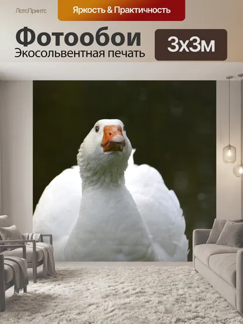 Фотообои Гусь