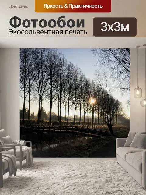 Фотообои Канал
