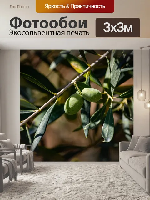 Фотообои Оливковый