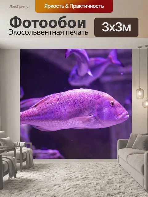 Фотообои Рыба