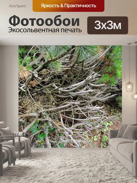 Фотообои сухие ветки