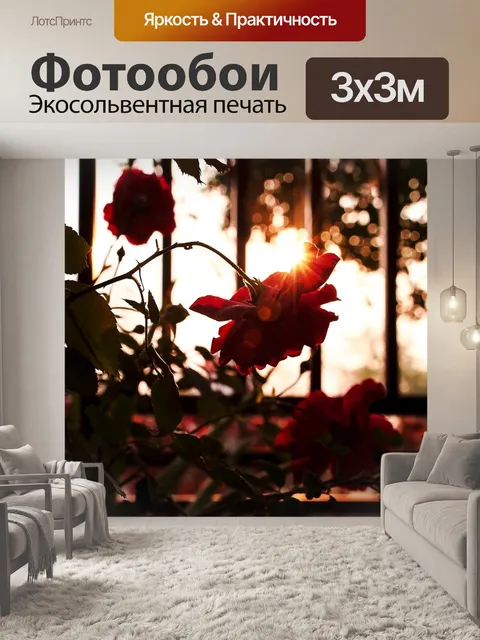 Фотообои Восход солнца