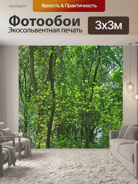 Фотообои свет на зеленых листьях в лесу