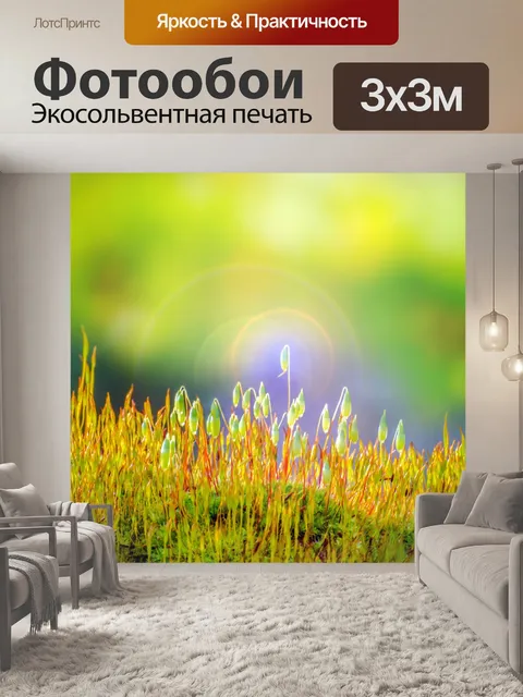 Фотообои Мох