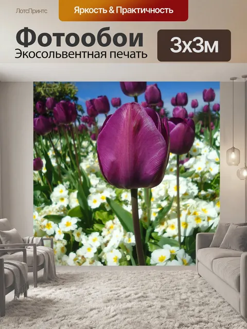 Фотообои Тюльпаны