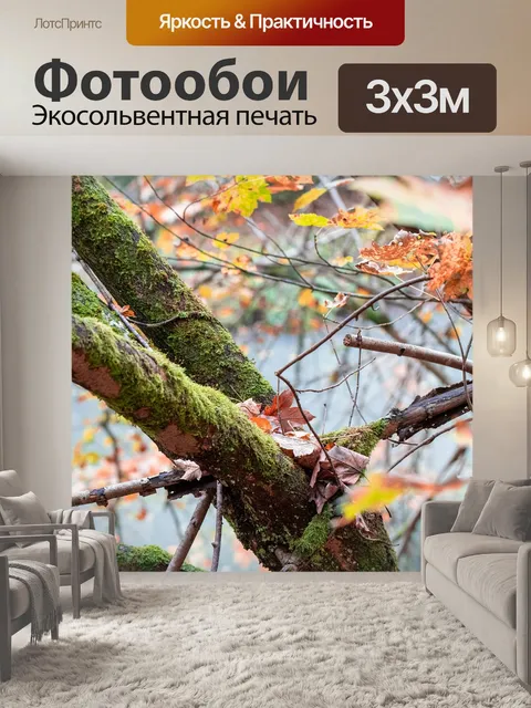 Фотообои Дерево
