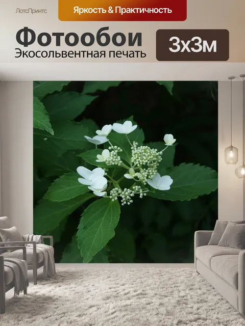 Фотообои Гортензии