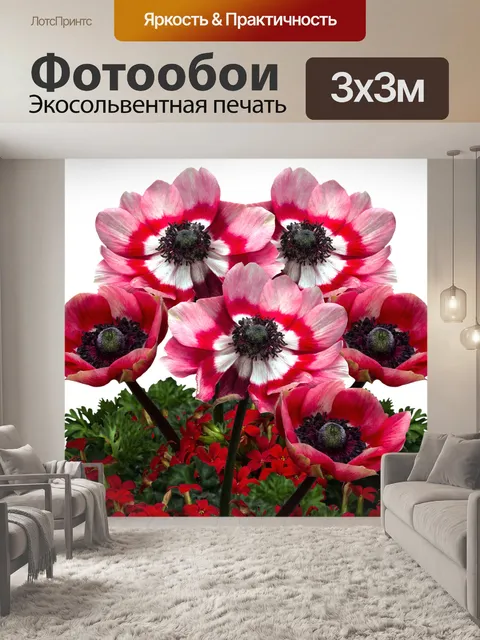 Фотообои Маки