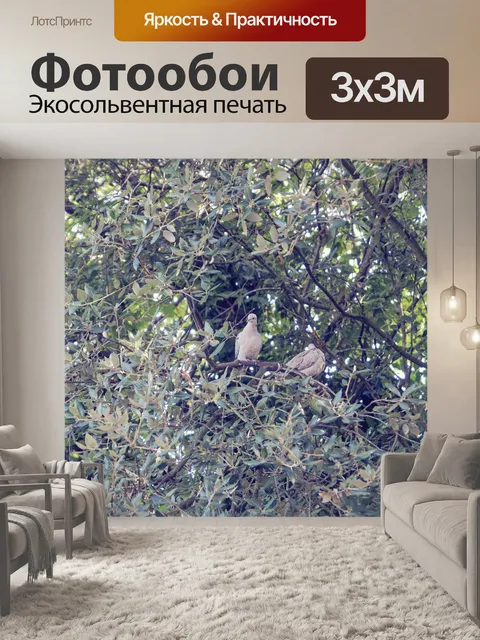 Фотообои Пара горлиц