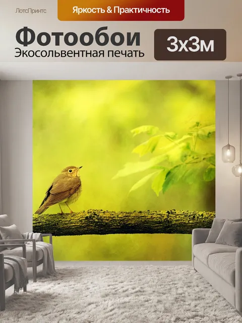 Фотообои Задний план