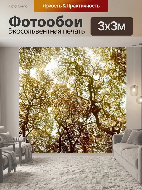Фотообои полога