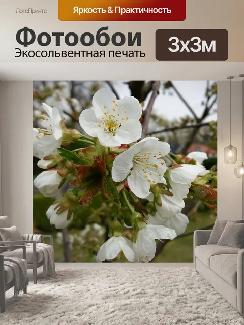 Фотообои Весна