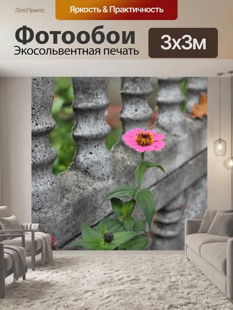 Фотообои Цинния