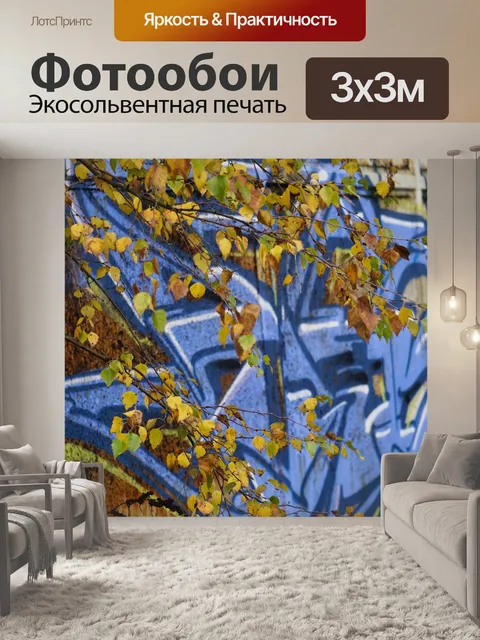 Фотообои Граффити