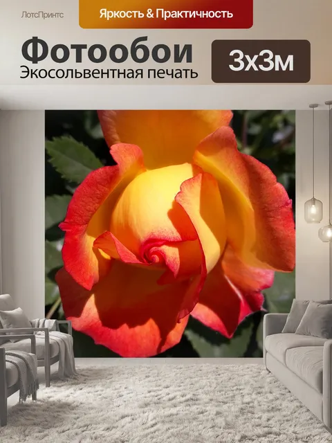 Фотообои Природа