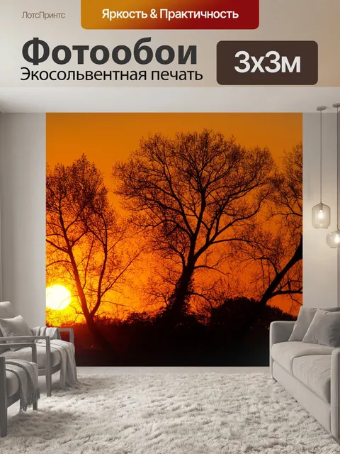 Фотообои Силуэт закатных деревьев