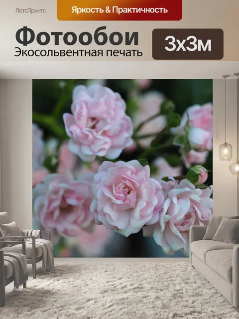 Фотообои Роза