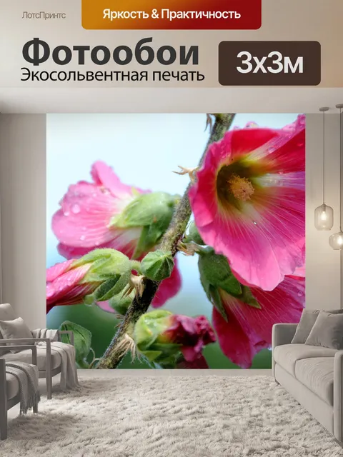 Фотообои Цветы