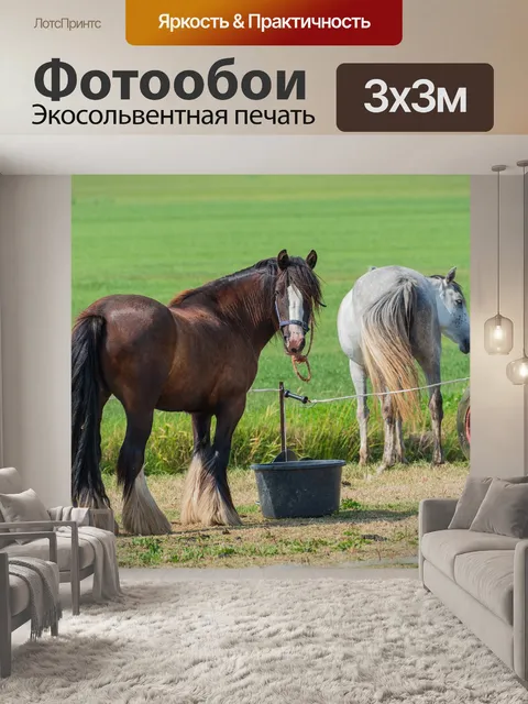 Фотообои Лошади