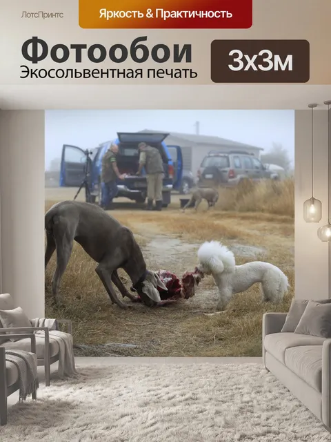 Фотообои Собаки