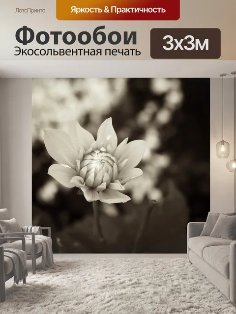 Фотообои Сепия