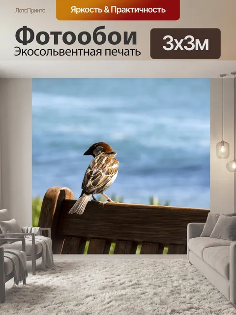 Фотообои Воробей