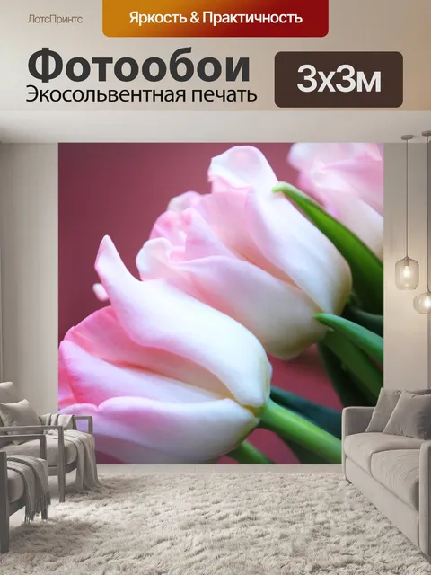 Фотообои Тюльпаны