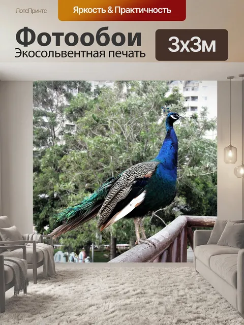 Фотообои Птицы