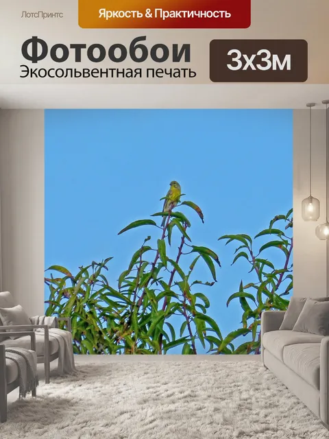 Фотообои Золотая иволга