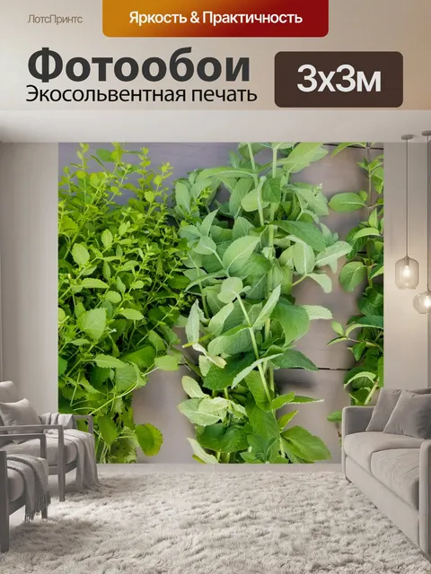 Фотообои свежие травы