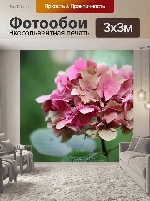 Фотообои Гортензия