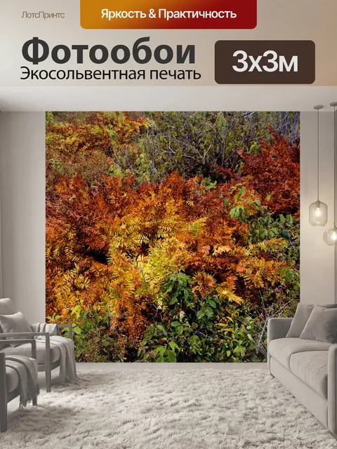 Фотообои Осенние листья фон