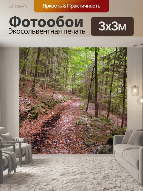 Фотообои Тропа