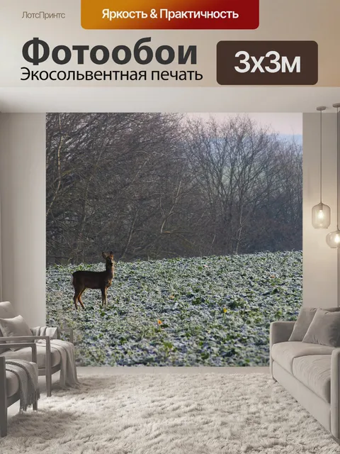 Фотообои Олень