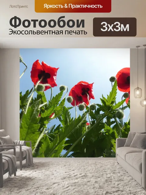 Фотообои Маки