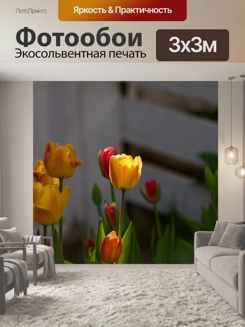 Фотообои Тюльпан