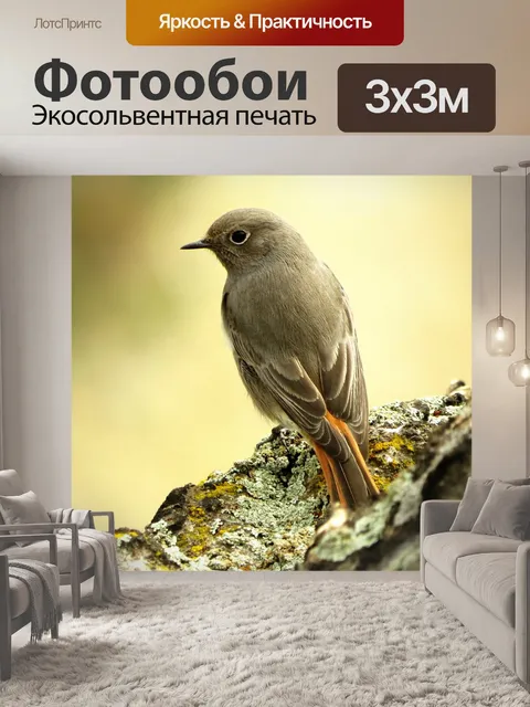 Фотообои Птица