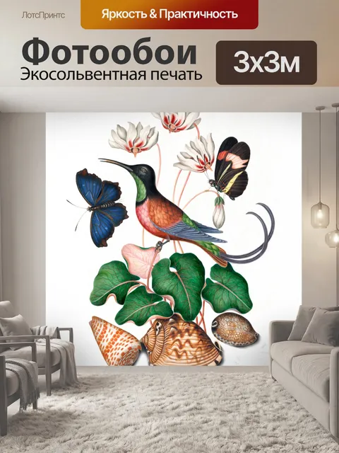 Фотообои Малиновый топаз колибри Винтаж