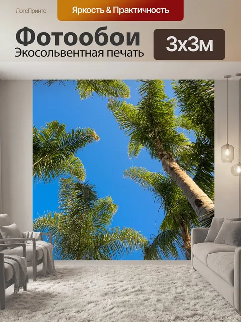 Фотообои Пальма против неба