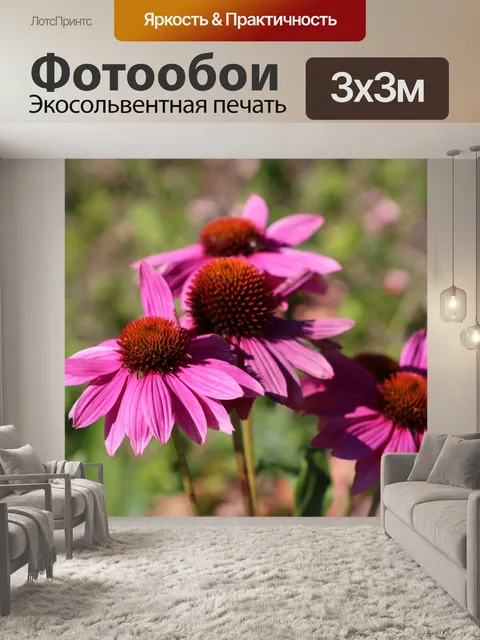 Фотообои Шишки