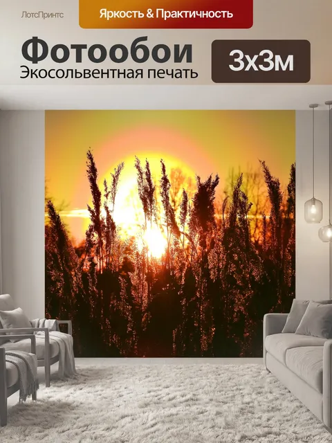 Фотообои Закат