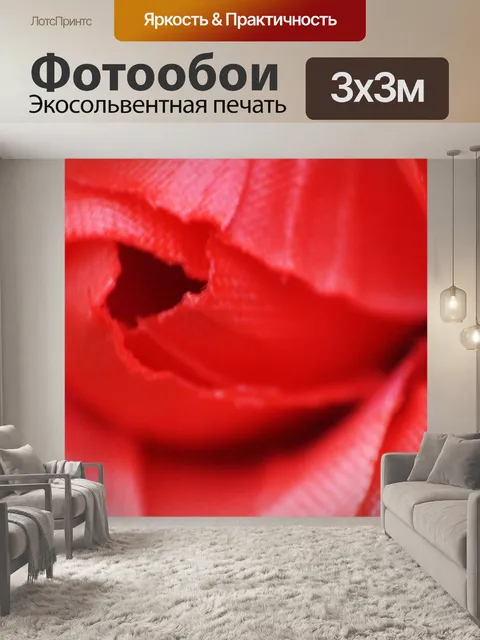 Фотообои Красная роза макрос фона