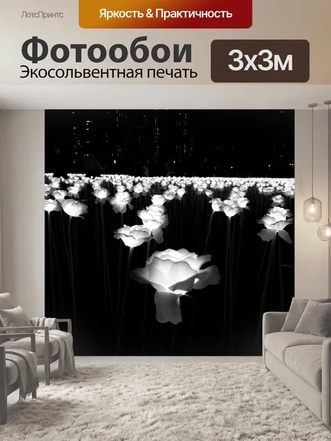 Фотообои Роза